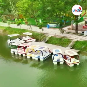 Paddle Boat 1